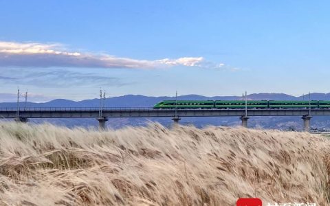 “去有风的地方”也别忘“脚下留情”(有你的地方就有风景800字作文初中)