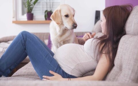 备孕的朋友注意 这些电子产品不能随便用！-备孕期间能不能用电脑