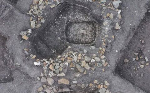 新发现：谁是最早骑马的人？-新发现:谁是最早骑马的人呢