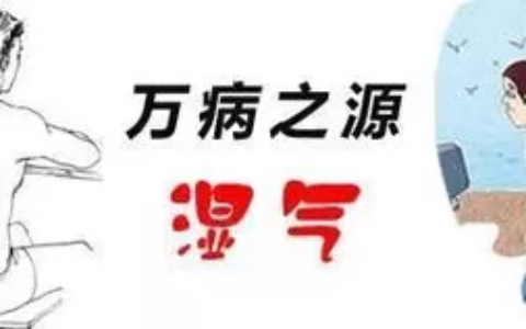体内湿气重怎么调理？众道妙方去湿气好方法大揭秘-体内湿气重吃什么药祛除