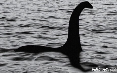 地球未知生物大盘点，你了解有多少？-地球上还有哪些未知生物种类