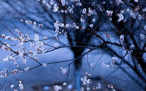 王维最经典的十首山水诗，何以解忧，唯有山水，篇篇唯美至极(王维的诗有哪些山水的诗)