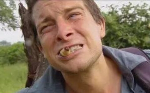 外媒评选出世界上最恶心的食物，全部敢吃的都是勇士！-世界上最恶心的六种食物长什么样子呢