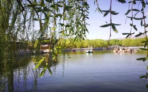 金川区扩增“绿色版图” 市民享受当“夏”清凉(金川规划)