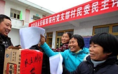 村书记和村主任可能要撤了，老百姓有事找谁呢？答案被揭穿-村书记与村主任不合怎么办