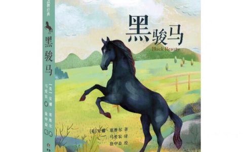 家庭教育影响孩子的一生，作为家长应该言传身教言行合一，让孩子树立正确又积极的三观——《黑骏马》有感-家庭教育对家长的影响