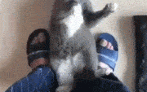 搞笑GIF：男人有很多种死法，估计这种死法是最惨的！