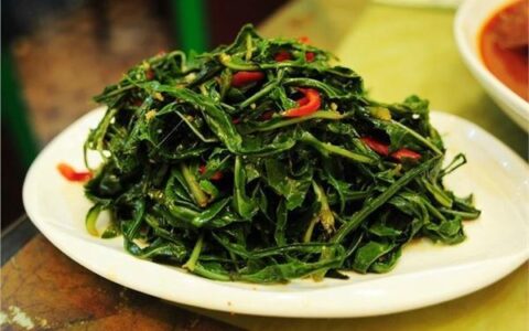 苦菜——伴随了我们两千多年药食同源的野菜，总是那么特立独行-苦苦菜歌词