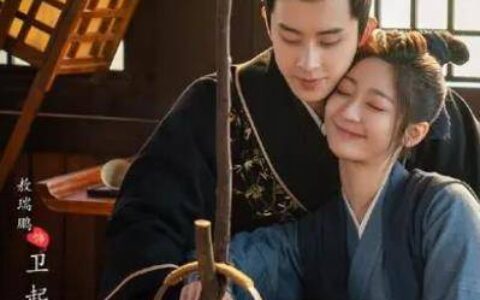 《看见缘分的少女》一共多少集