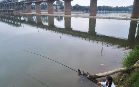 原创
鄱阳各乡镇人口和面积排名新鲜出炉 看看你家乡排第几？（鄱阳县各乡镇人口多少万）