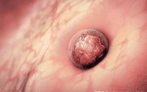 受精卵成功着床的三个信号，准妈妈须知-受精卵着床成功是不是就怀孕了