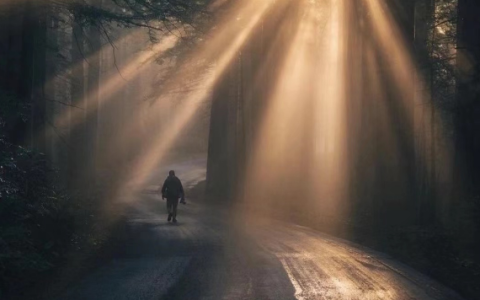 世界上最厉害的两种人，“天选之子”和“地选之子”，你是哪一种？-天选之子的下一句