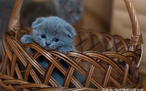 怎样知道自己被暗恋了？测测你们是否互相暗恋-测试自己有没有被暗恋的人知道