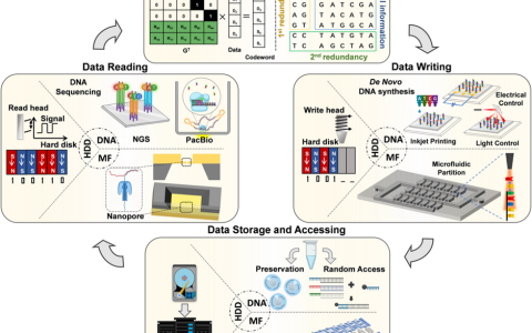 微流控技术在DNA数据存储中的应用前景（微流控技术在DNA数据存储中的应用前景）