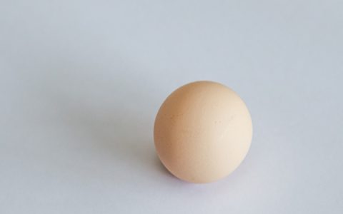 塑料污染进入食物链？印尼鸡蛋被检验出含二恶英（塑料污染进入食物链?印尼鸡蛋被检验出来了吗）