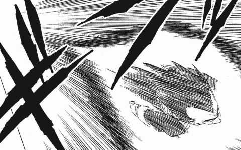 贝吉塔的24个造型