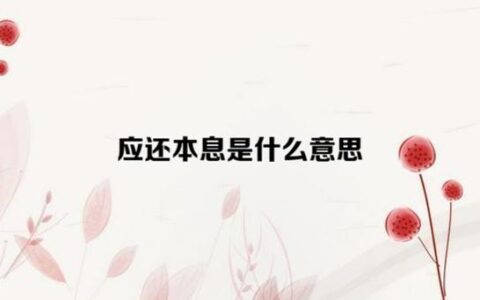 应还本息是什么意思-应还本息和应还本金一样吗