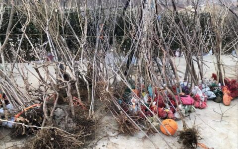 绝了！女子发现男子不忠后，多次跟男子的朋友发生联系，只为报复