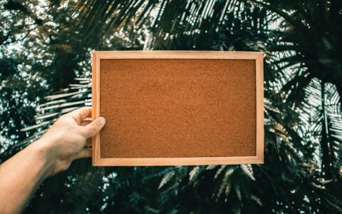 2021考研成绩查询入口，成绩查询的五大要点-考研详细成绩查询