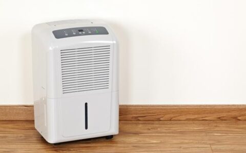 夏季湿气重，祛湿方法是关键，做到这三点，跟湿气说再见-夏季如何祛湿气