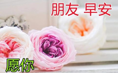 2023年早晨表情图片精选 早晨动态表情大全-2o21年早上好带字图片