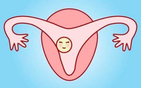 正常女性内膜是多少厘米-正常女性内膜是多少厘米厚的