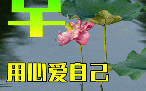 ​​2月8日春天早上好祝福语图片及问候动态表情图片大全！最新早上好特漂亮的动态祝福图片