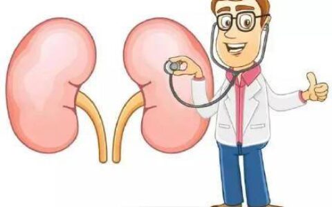 预防慢性肾脏病发生风险，注意做好这几点！(预防慢性肾功能不全)
