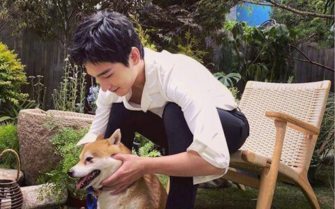 杨洋新剧即将播出，合作李一桐演绎《特战荣耀》！(杨洋最新拍的特种兵电视剧)