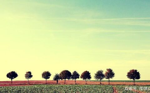 早安情话的暖心短句，睿智深刻，瞬间暖到心窝-早安情话语