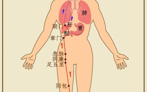 结节疙瘩最爱堵三个部位，一个妙法把瘀堵全打开！(结节痘硬化了怎么办)