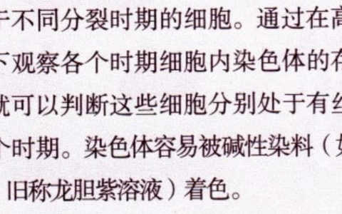 当“龙胆紫”已经成为“旧称”，你是否还在困惑？(龙胆紫是干什么的)