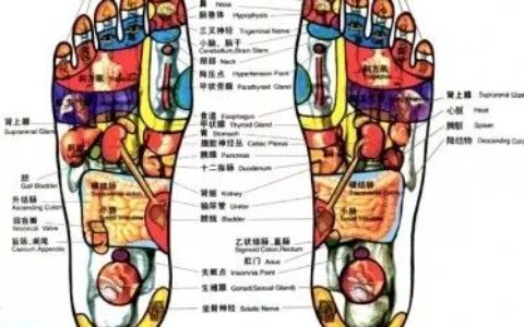 脚底穴位对应的器官图解】脚底穴位对应图及按摩方法