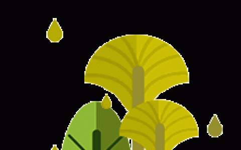 阿根廷汇率剧烈波动影响民众出国旅行？贬值反而促使民众提早订票