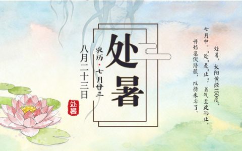 江苏教师教育(江苏教师培训中心)