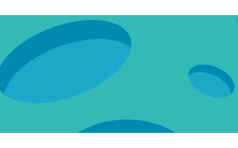 最牛逼的简历模板长什么样？(最详细的简历模板)