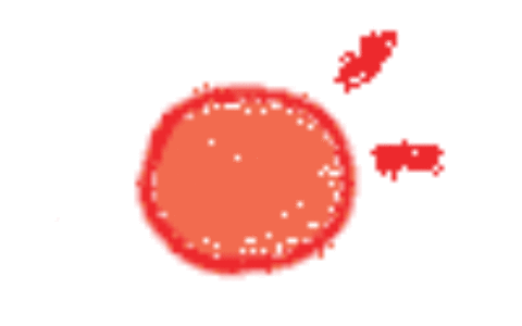 你码了吗，中国研究生招生信息网(研招网忘记密码怎么办)