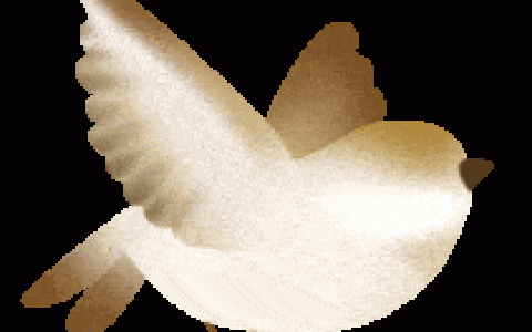 “鵟”字怎么念？-亐㔓这个字怎么读