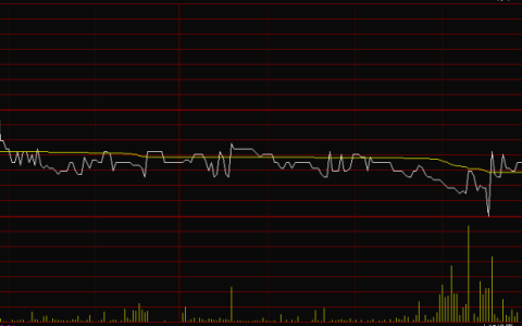 什么是内盘外盘？怎么看内盘外盘？（什么事内盘外盘）