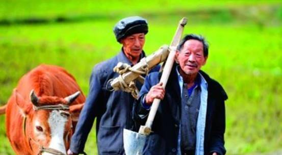 老话“好男有福一身毛，好女无毛一身膘”是什么意思？