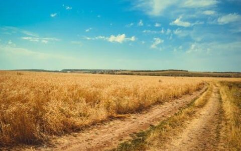 土地互换使用期限是多久，土地互换和土地流转的区别是什么？(土地互换协议书怎么写才有效)