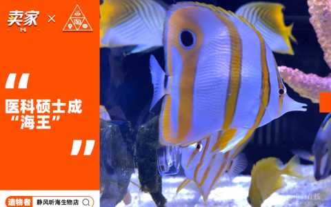 男人花起钱来有多可怕？小众品类一年卖3000多万，最高客单70万|造物者-一个男人一年赚多少钱