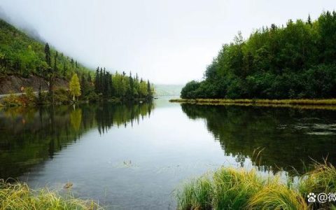 二噁英检测报告 二恶英检测方法标准（二恶英监测方法）