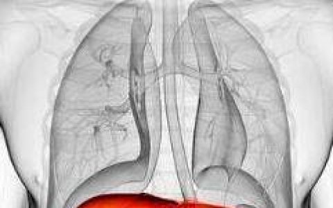 肝脏最爱这些碱性食物，每天坚持一杯，养肝护肝远离大小肝病