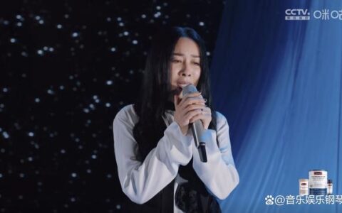 《声生不息宝岛季》总决赛4大看点，那英组以少胜多，2位浪姐观战(声生不息报名2023)