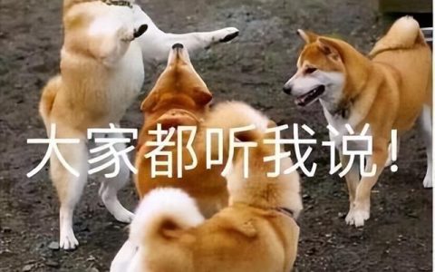 曾经统治了互联网的MMORPG游戏，怎么就落寞了？-mmorpg市场分析