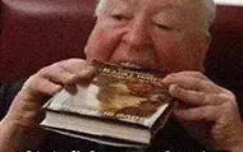 brain是脑子，child是孩子，那brainchild是什么意思？-brains啥意思