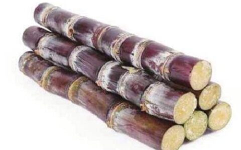 湿气重怎么调理 常吃这三种去湿气食物 体内湿气乖乖减少