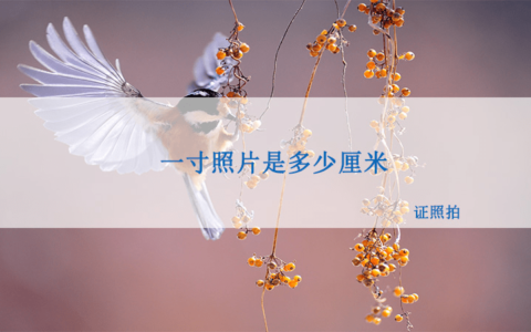 一寸照片是多少厘米，怎么制作一寸照片-一寸照片等于多少厘米长乘宽厘米