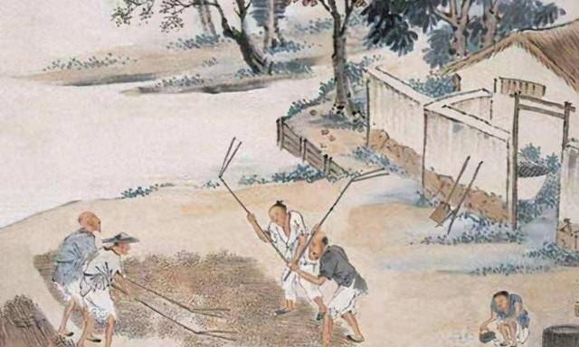 俗话说“有福之人两腿毛，无福之人毛两腿”，究竟是什么意思